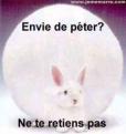 Envie de péter ? ne te retiens pas